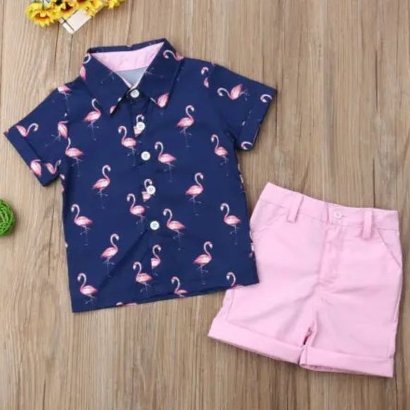 Flamingo Palms - Newborn Boy Summer Clothing Set 3 Piece